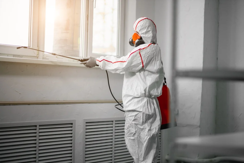 Professional mold remediation services in Gower, MO